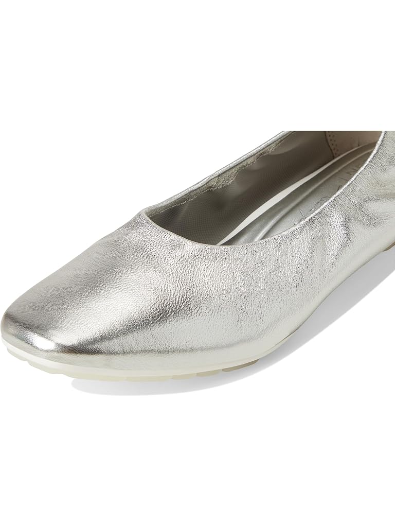 Silver Naturalizer Game Changer By Deepica Mutyala